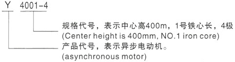 西安泰富西玛Y系列(H355-1000)高压云龙三相异步电机型号说明